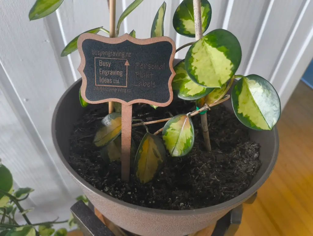 Mini Chalk Board Stick