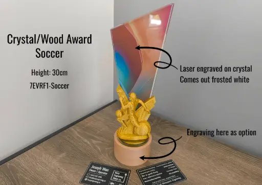 Crystal / Wood Award - Soccer